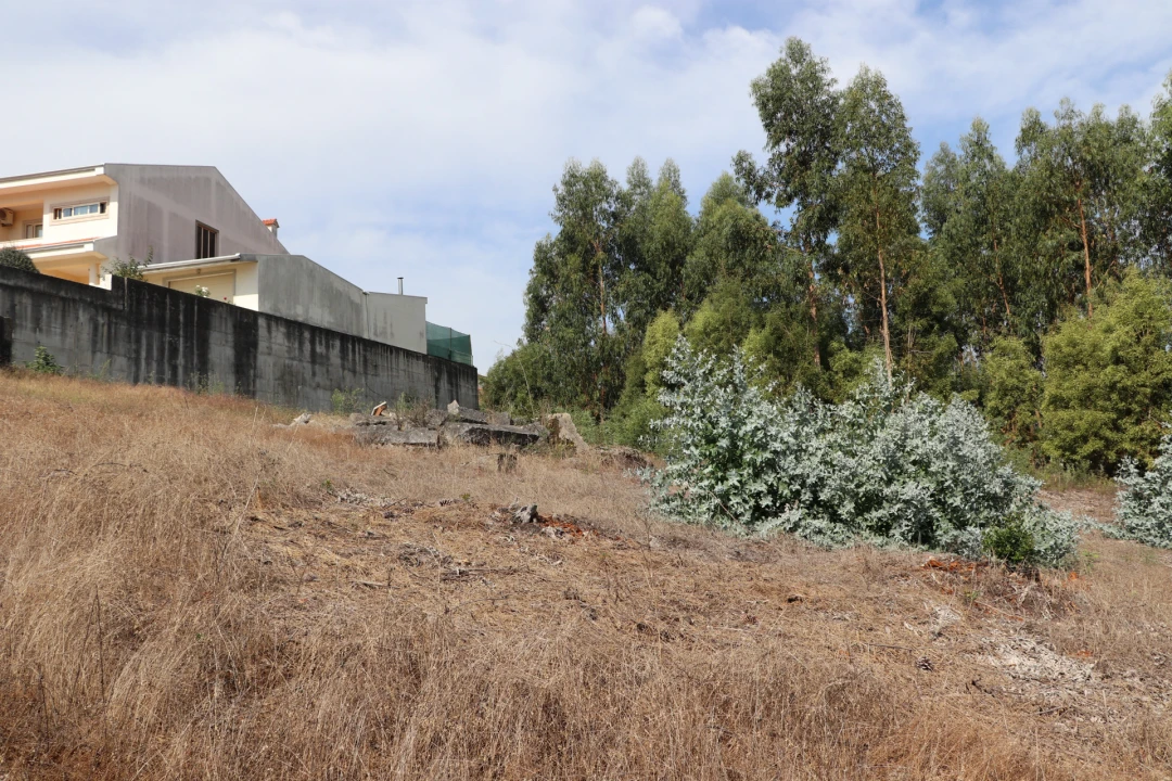 Terreno para Venda em Lustosa e Barrosas (Santo Estêvão) Foto 11