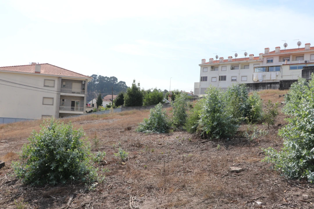 Terreno para Venda em Lustosa e Barrosas (Santo Estêvão) Foto 8