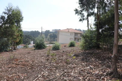 Terreno para Venda em Lustosa e Barrosas (Santo Estêvão)