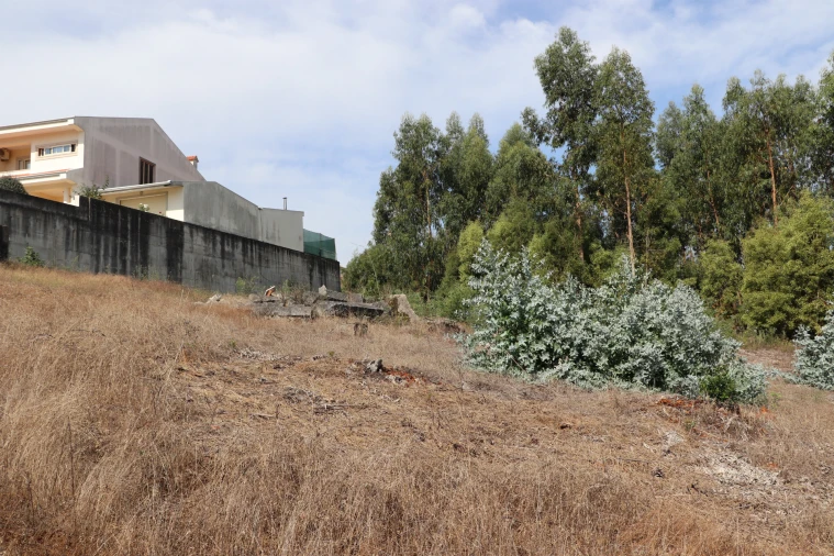 Terreno para Venda em Lustosa e Barrosas (Santo Estêvão) Foto 11