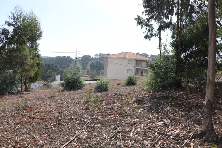 Terreno para Venda em Lustosa e Barrosas (Santo Estêvão) Foto 9