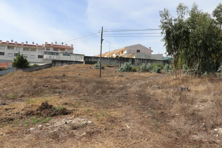Terreno para Venda em Lustosa e Barrosas (Santo Estêvão) Foto 13