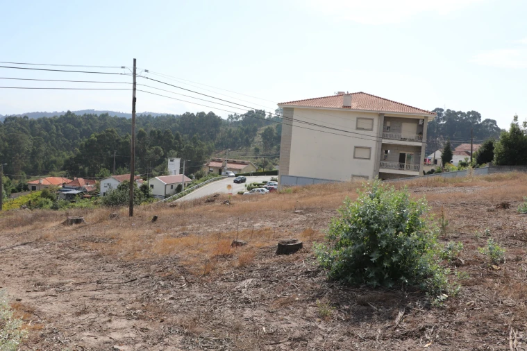 Terreno para Venda em Lustosa e Barrosas (Santo Estêvão) Foto 7