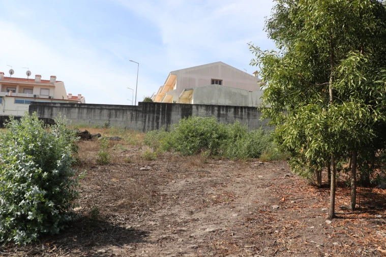Terreno para Venda em Lustosa e Barrosas (Santo Estêvão) Foto 10