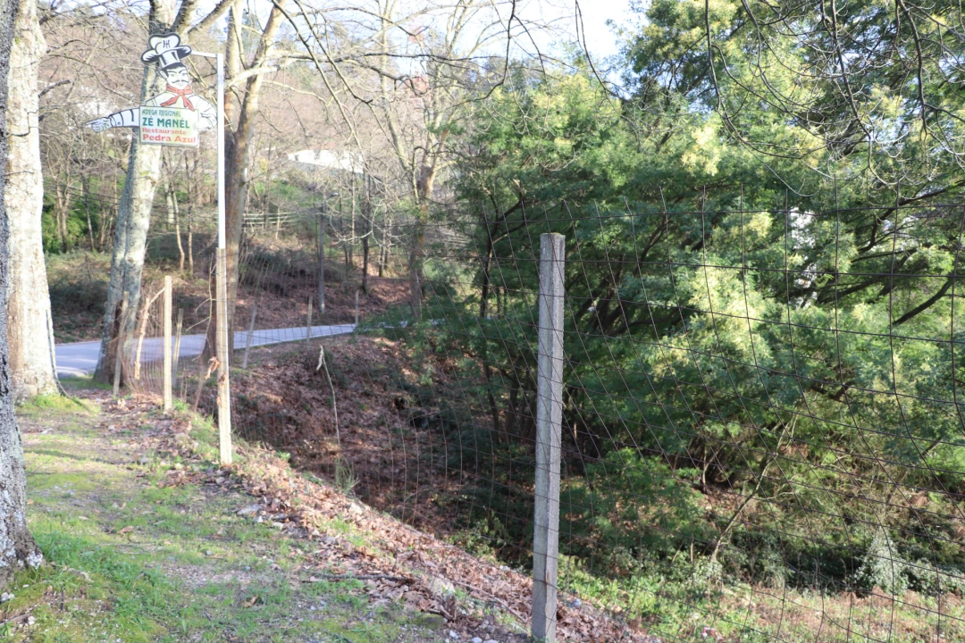 Terreno Comércio / Armazém para Venda em Santa Eulália Foto 12