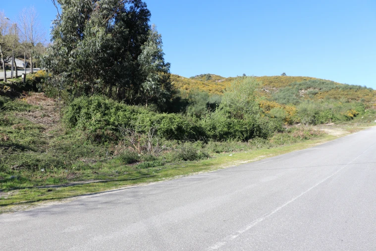 Terreno Misto para Venda em Santa Eulália Foto 8