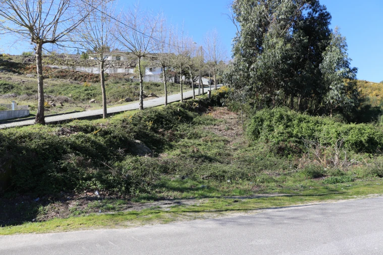 Terreno Misto para Venda em Santa Eulália Foto 7