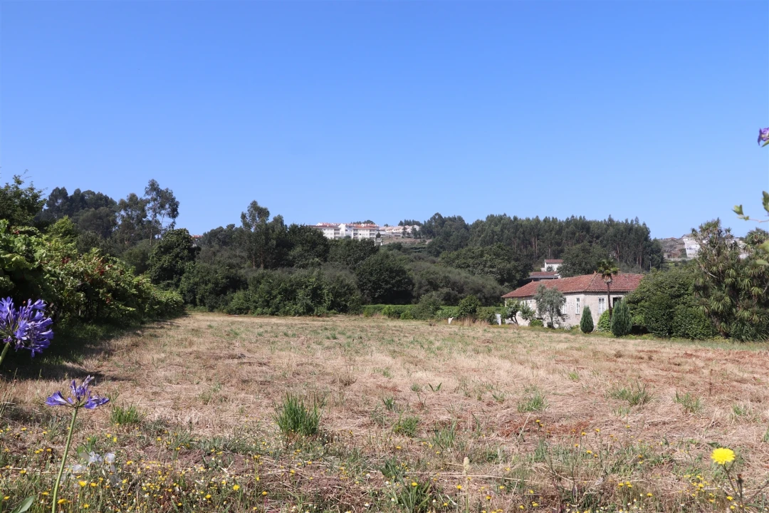 Terreno para Venda em Lustosa e Barrosas (Santo Estêvão) Foto 5