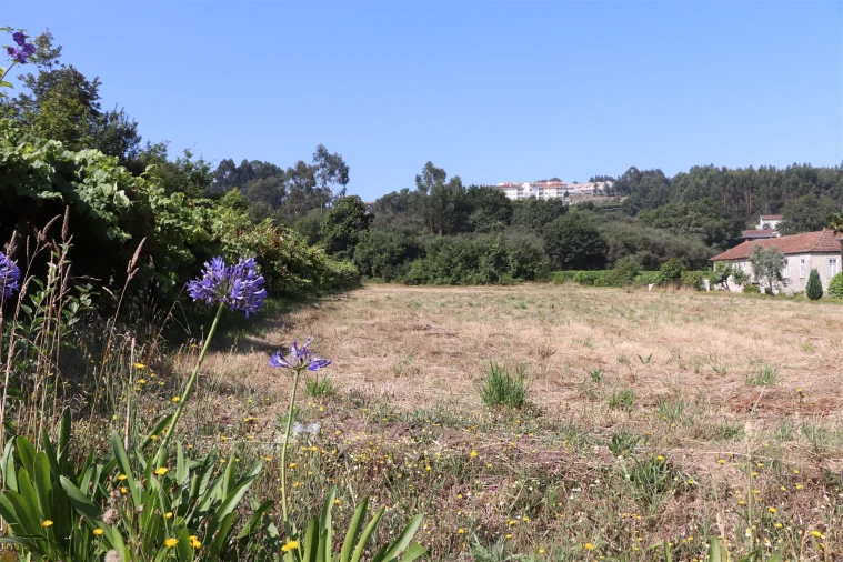 Terreno para Venda em Lustosa e Barrosas (Santo Estêvão) Foto 6