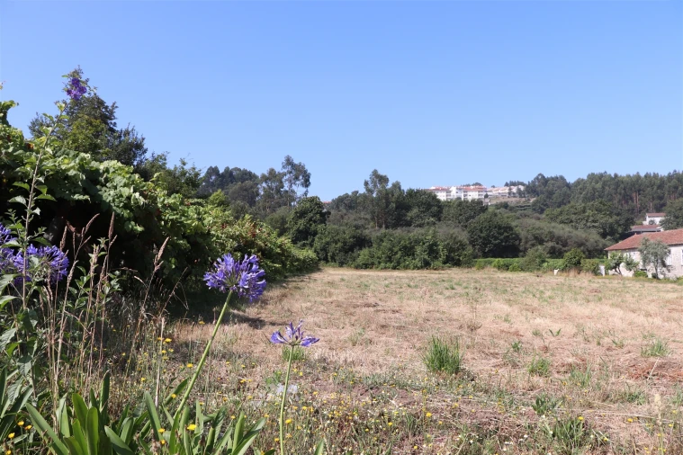 Terreno para Venda em Lustosa e Barrosas (Santo Estêvão) Foto 7