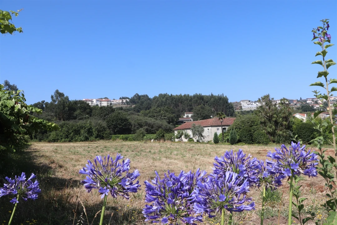 Terreno para Venda em Lustosa e Barrosas (Santo Estêvão) Foto 4