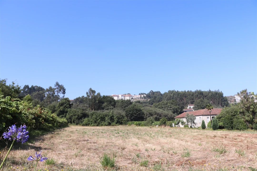 Terreno para Venda em Lustosa e Barrosas (Santo Estêvão) Foto 1