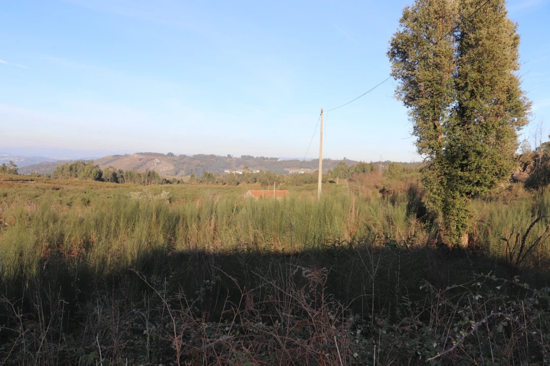 Terreno para Venda em Lustosa e Barrosas (Santo Estêvão) Foto 4