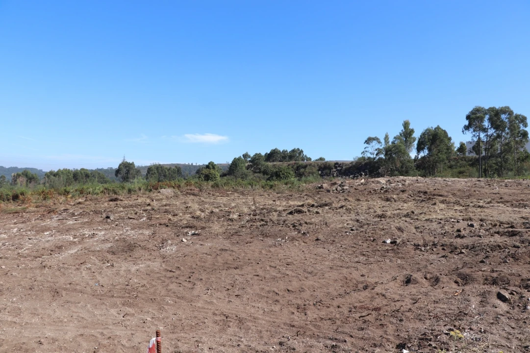Terreno para Venda em Lustosa e Barrosas (Santo Estêvão) Foto 5