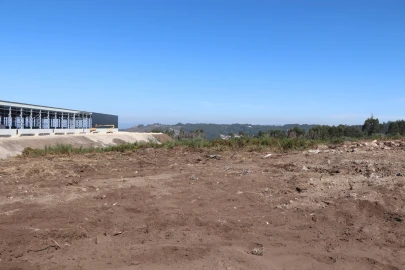 Terreno para Venda em Lustosa e Barrosas (Santo Estêvão)