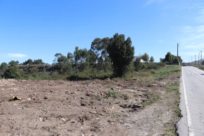 Terreno para Venda em Lustosa e Barrosas (Santo Estêvão)