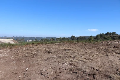 Terreno para Venda em Lustosa e Barrosas (Santo Estêvão)