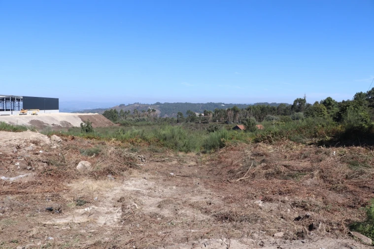 Terreno para Venda em Lustosa e Barrosas (Santo Estêvão) Foto 14