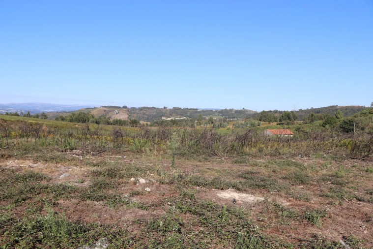 Terreno para Venda em Lustosa e Barrosas (Santo Estêvão) Foto 2