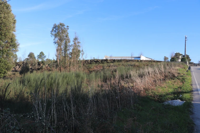 Terreno para Venda em Lustosa e Barrosas (Santo Estêvão) Foto 3