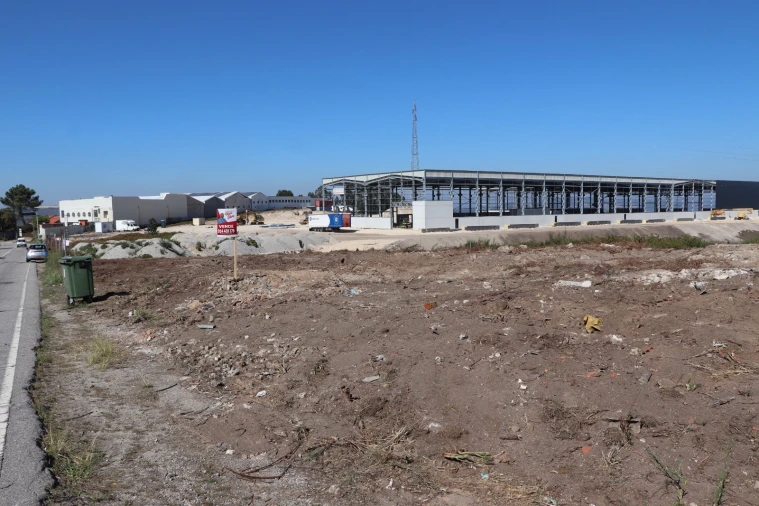 Terreno para Venda em Lustosa e Barrosas (Santo Estêvão) Foto 16