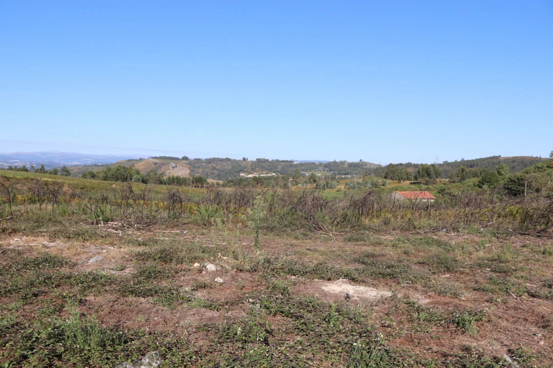 Terreno para Venda em Lustosa e Barrosas (Santo Estêvão) Foto 2