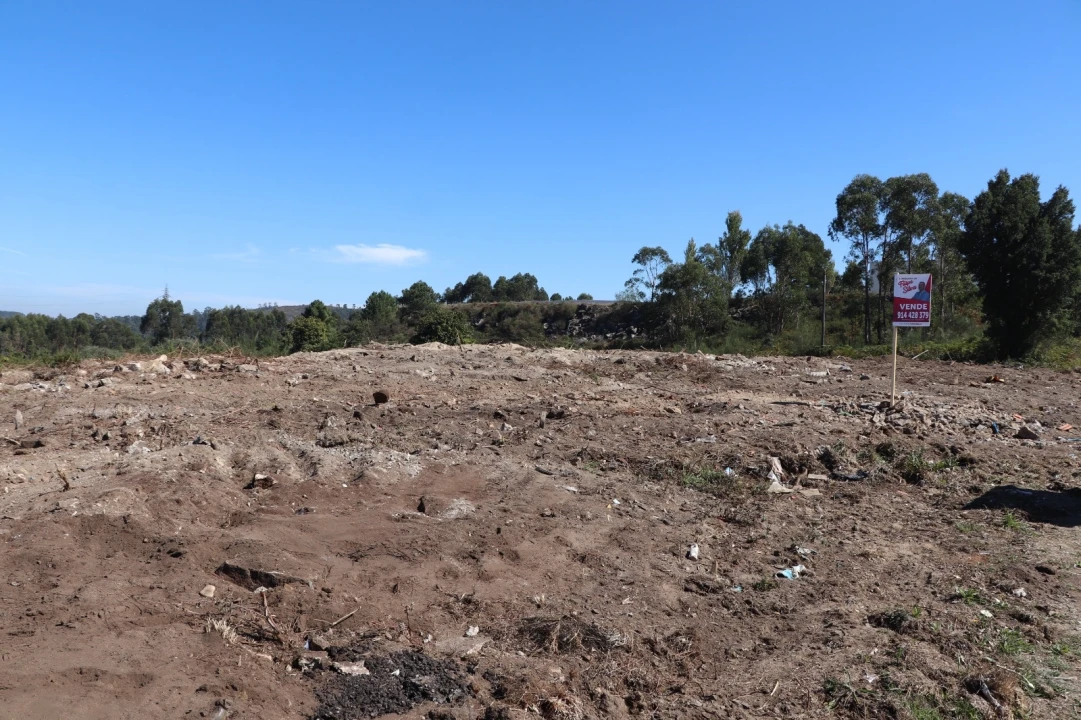 Terreno para Venda em Lustosa e Barrosas (Santo Estêvão) Foto 10