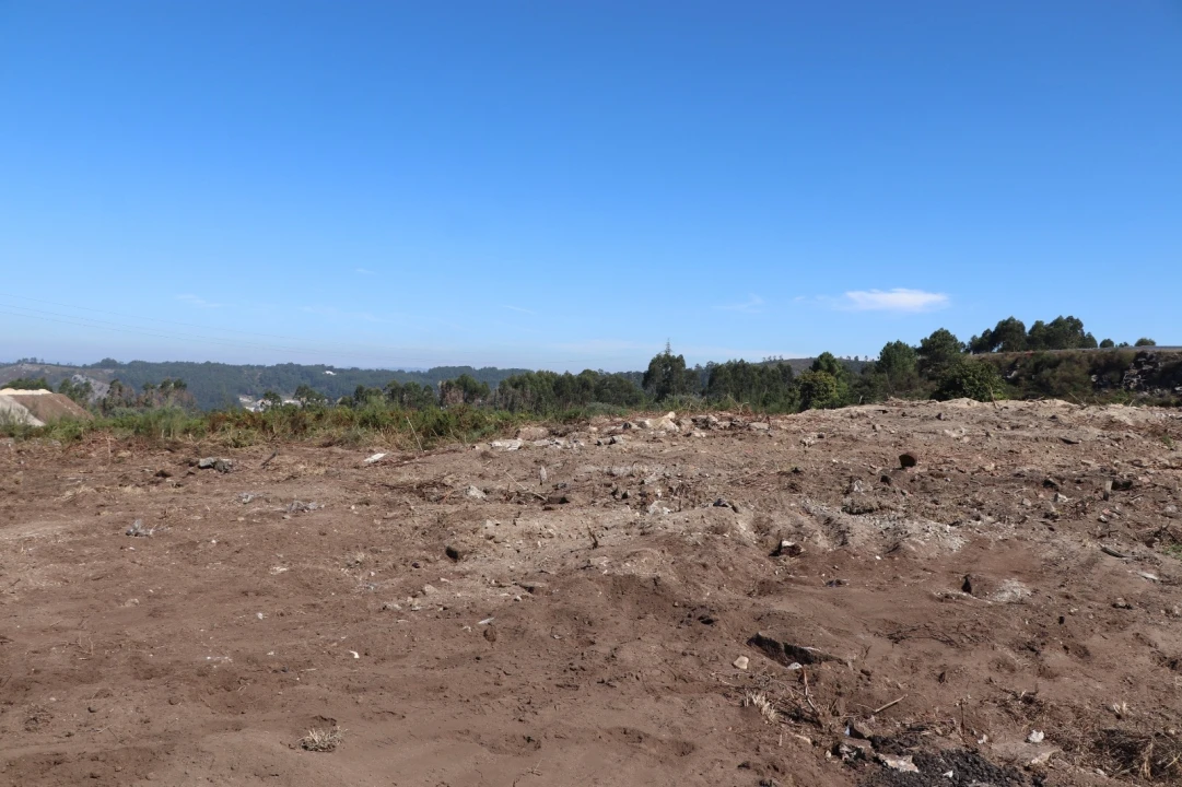 Terreno para Venda em Lustosa e Barrosas (Santo Estêvão) Foto 8