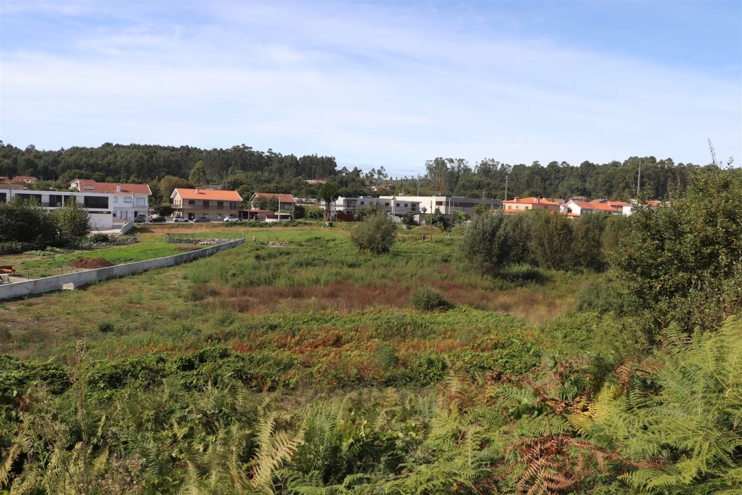 Terreno para Venda em Lustosa e Barrosas (Santo Estêvão) Foto 11