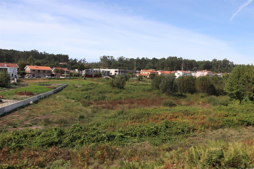 Terreno para Venda em Lustosa e Barrosas (Santo Estêvão) Foto 12