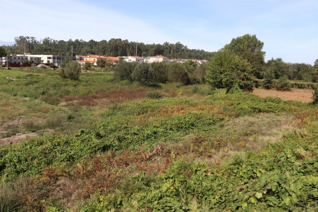 Terreno para Venda em Lustosa e Barrosas (Santo Estêvão) Foto 5