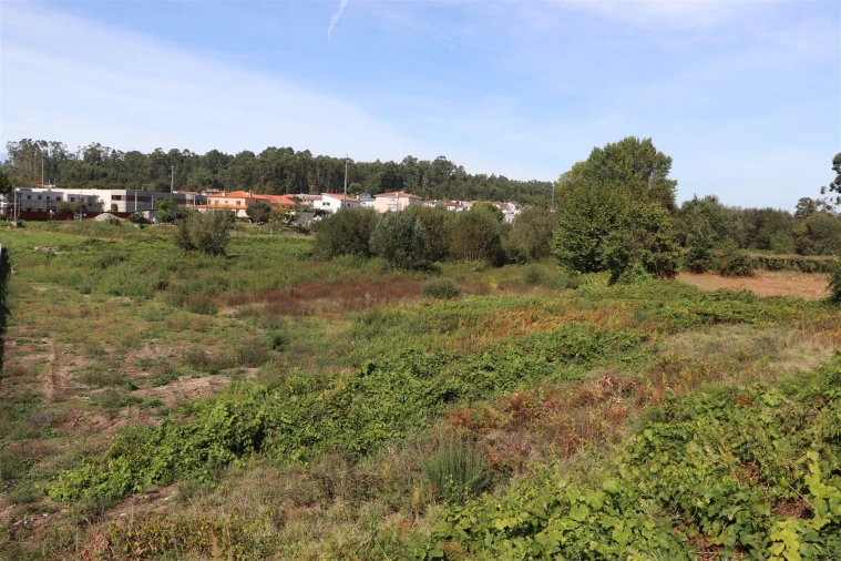 Terreno para Venda em Lustosa e Barrosas (Santo Estêvão) Foto 8