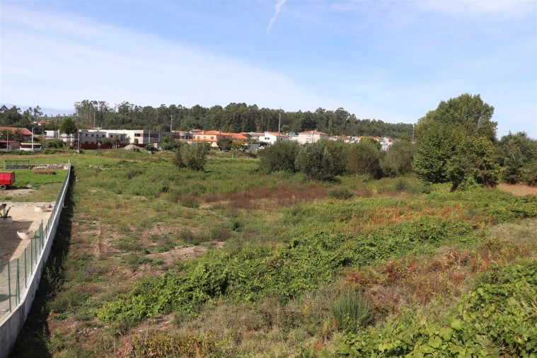 Terreno para Venda em Lustosa e Barrosas (Santo Estêvão) Foto 7