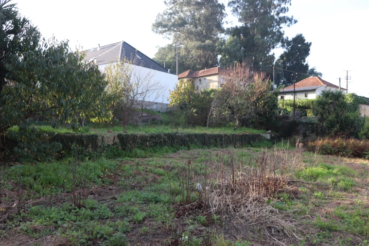 Terreno para Venda em São Tomé de Negrelos Foto 7