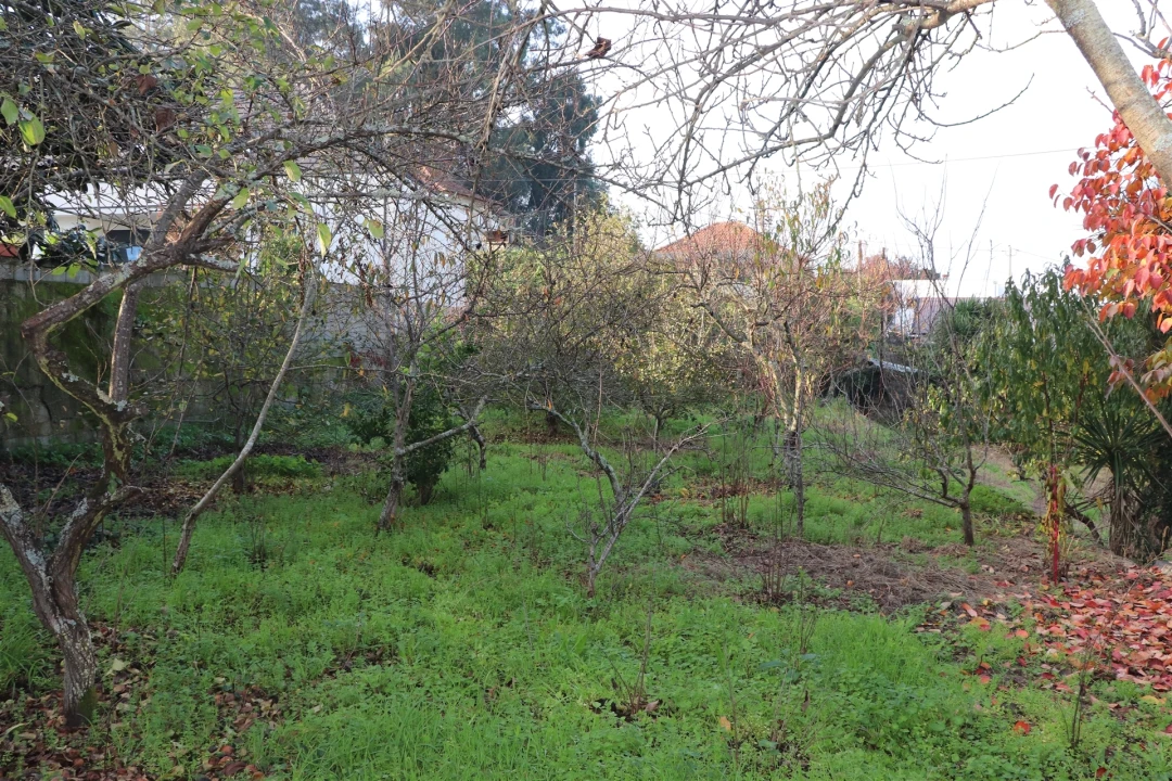 Terreno para Venda em São Tomé de Negrelos Foto 9