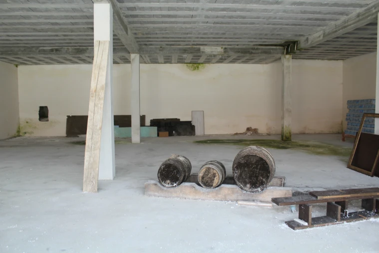 Loja para Venda em Lustosa e Barrosas (Santo Estêvão) Foto 3