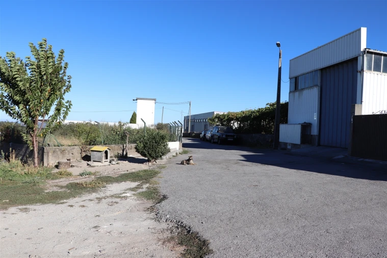 Terreno para Venda em Lustosa e Barrosas (Santo Estêvão)