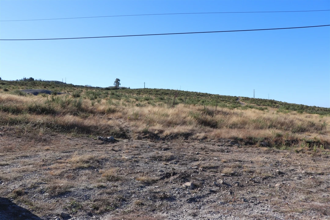 Terreno para Venda em Lustosa e Barrosas (Santo Estêvão) Foto 10