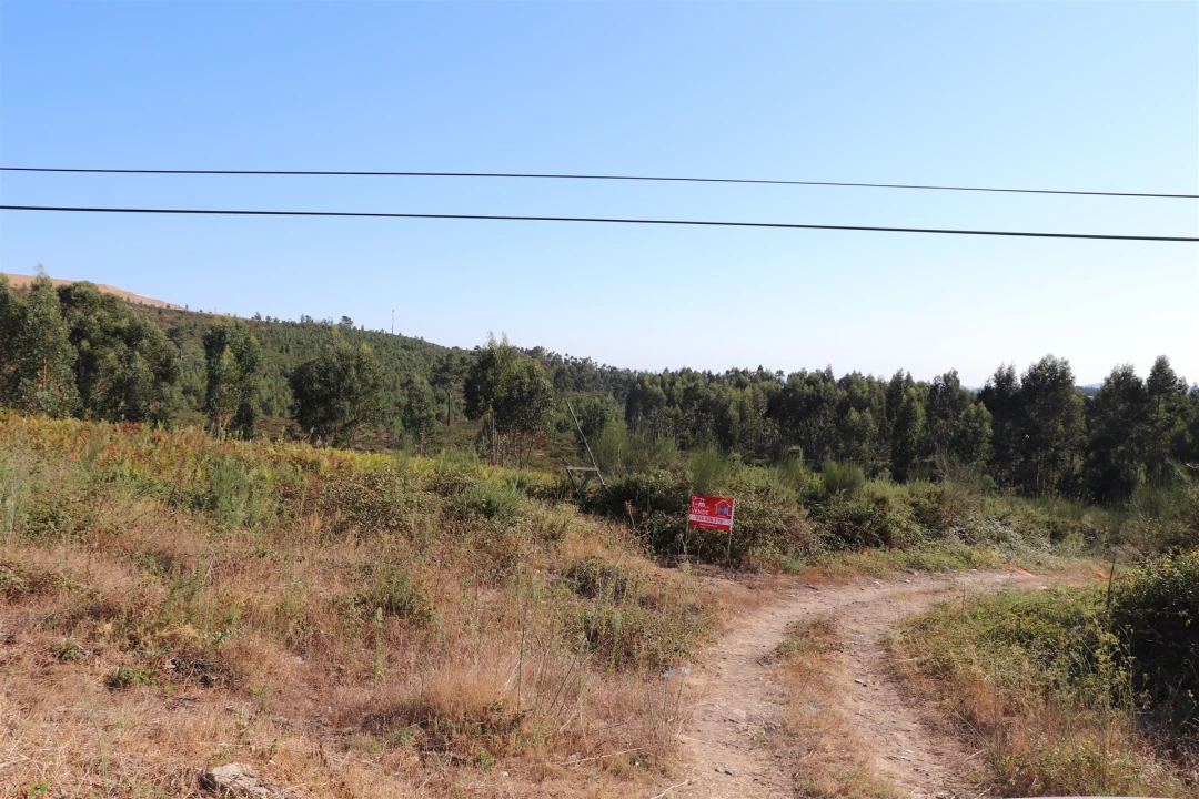 Terreno para Venda em Lustosa e Barrosas (Santo Estêvão) Foto 5