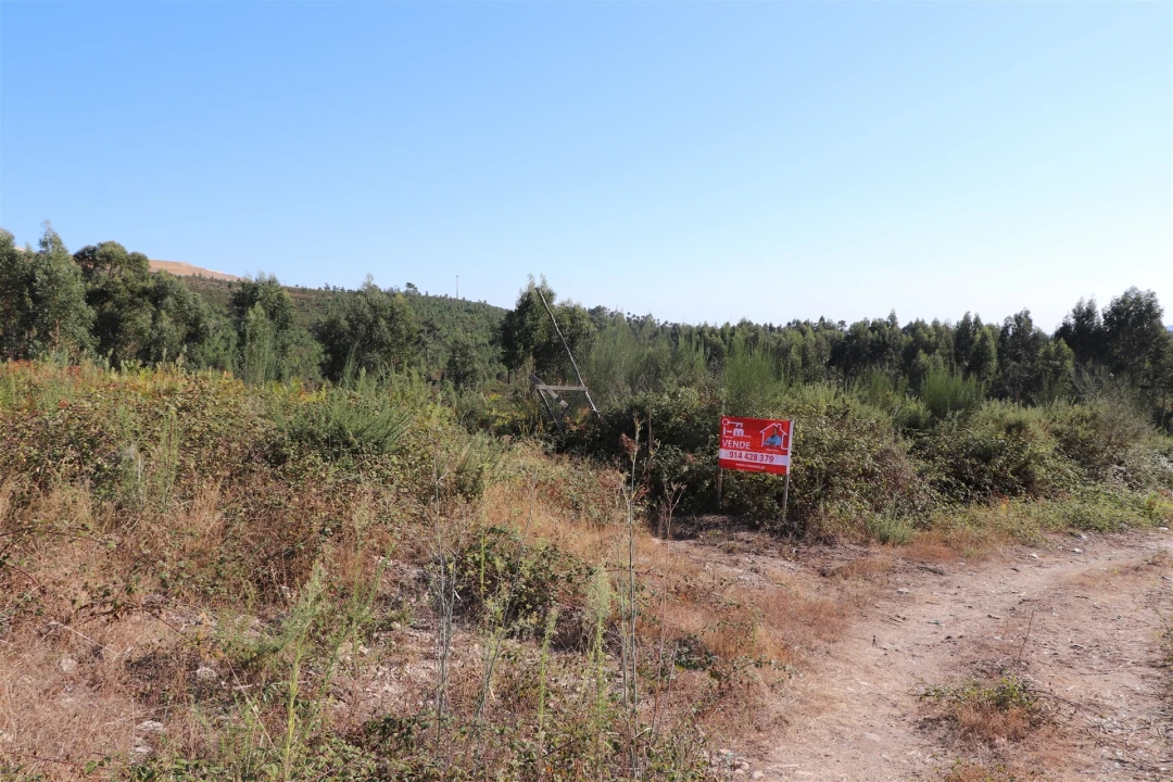 Terreno para Venda em Lustosa e Barrosas (Santo Estêvão) Foto 4
