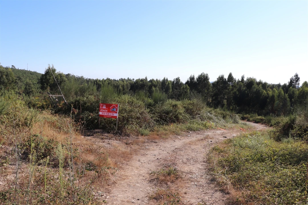Terreno para Venda em Lustosa e Barrosas (Santo Estêvão) Foto 2