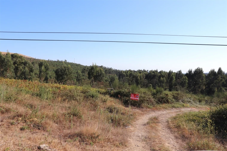 Terreno para Venda em Lustosa e Barrosas (Santo Estêvão) Foto 5
