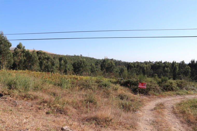 Terreno para Venda em Lustosa e Barrosas (Santo Estêvão) Foto 6