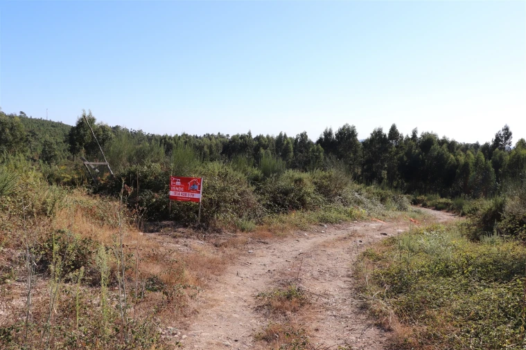 Terreno para Venda em Lustosa e Barrosas (Santo Estêvão) Foto 2