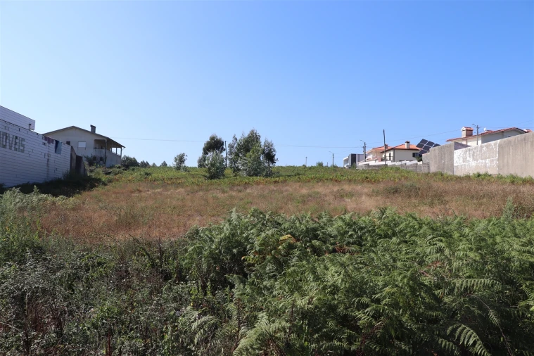 Terreno para Venda em Lustosa e Barrosas (Santo Estêvão) Foto 8