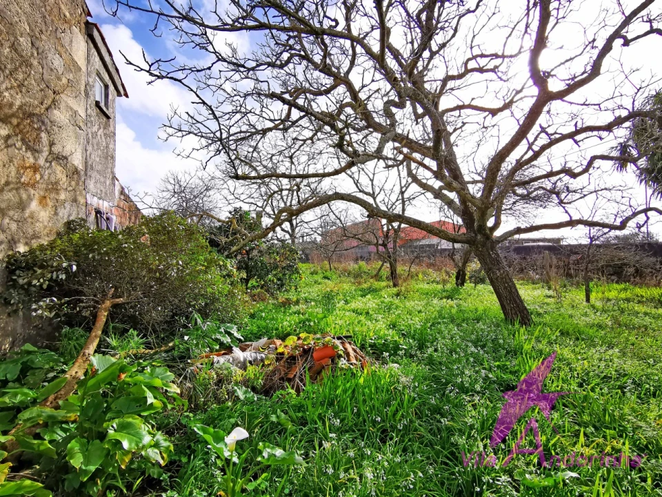 Moradia T6 para Venda em Belinho e Mar Foto 16