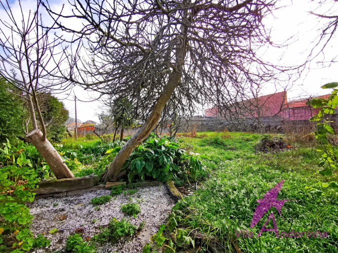 Moradia T6 para Venda em Belinho e Mar Foto 15