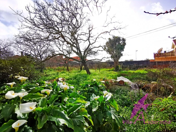 Moradia T6 para Venda em Belinho e Mar Foto 17