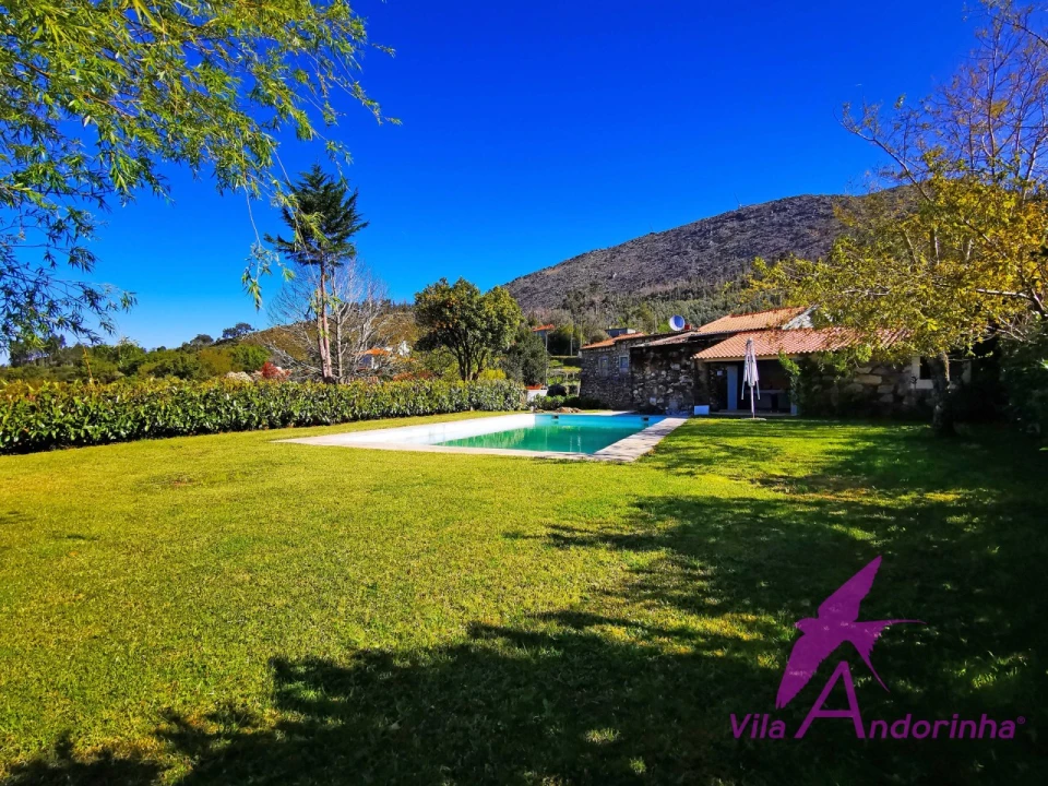 Quinta T7 para Venda em Dem Foto 2