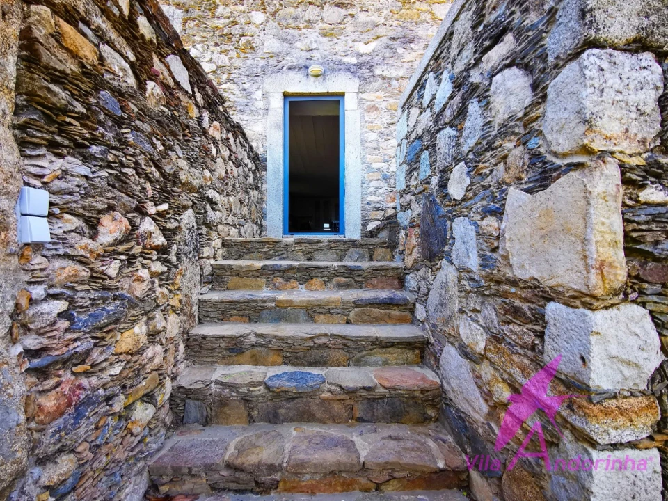 Quinta T7 para Venda em Dem Foto 10